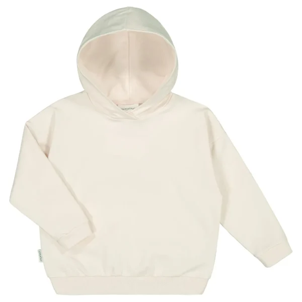 College Hoodie