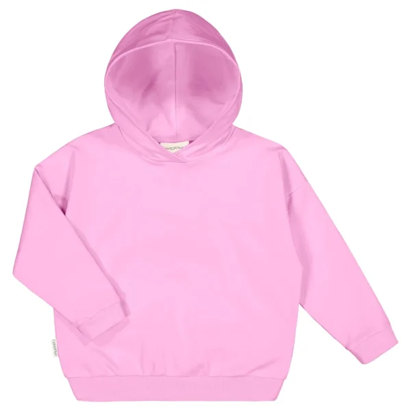 College Hoodie