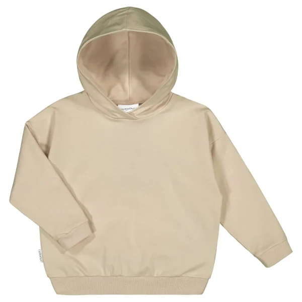 College Hoodie