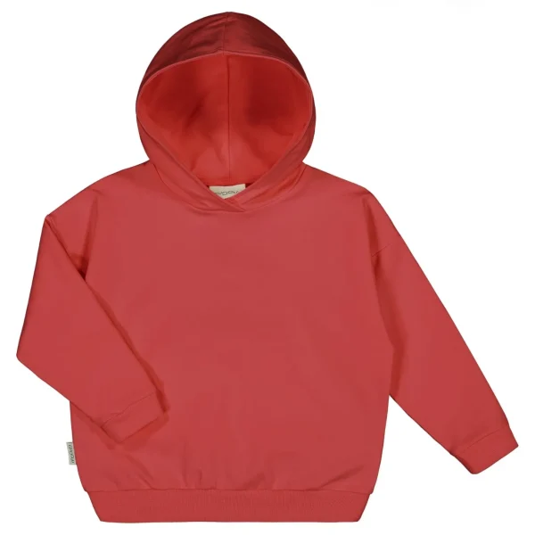 College Hoodie