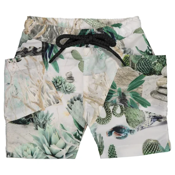 Print Swim Shorts