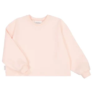 Short Sweatshirt